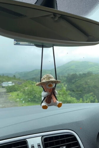 Adorable Swinging Duck Car Rear View Mirror Pendant photo review